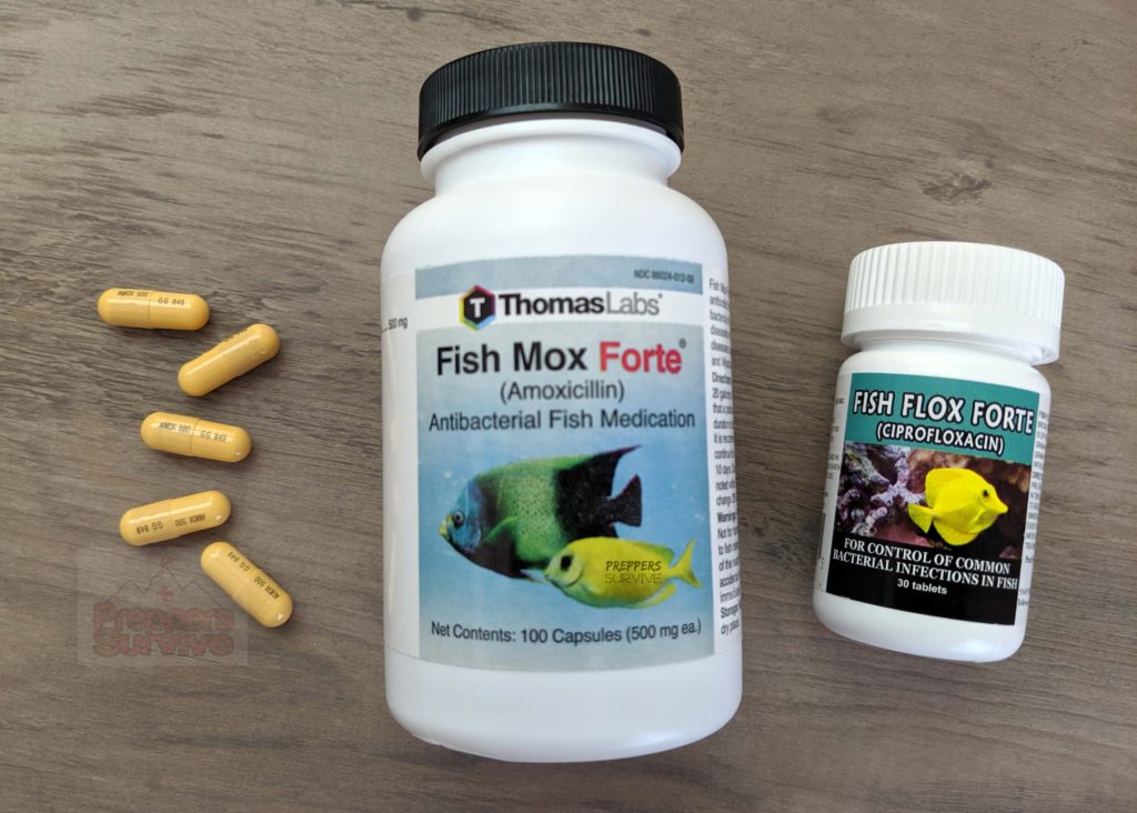 Prepper fish antibiotics Three companies that sell them...